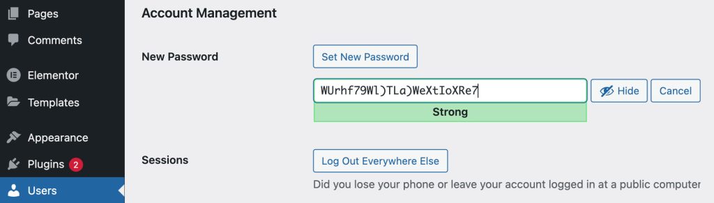 Set new password - WordPress